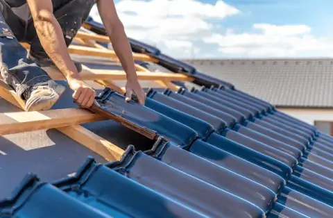 Couverture - La Couronne